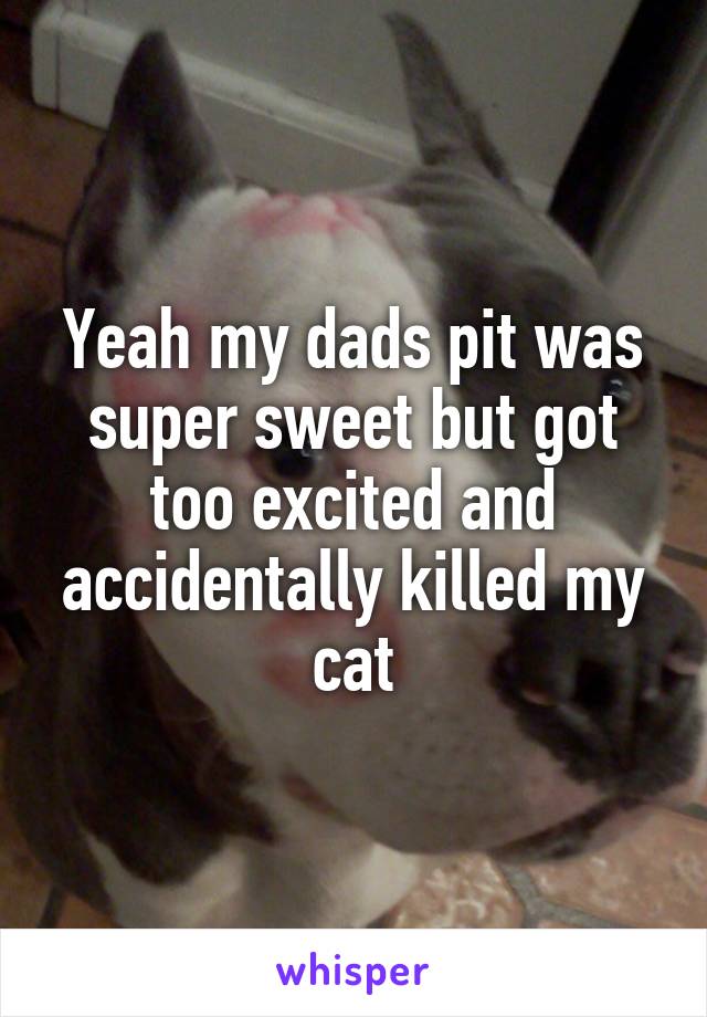 Yeah my dads pit was super sweet but got too excited and accidentally killed my cat