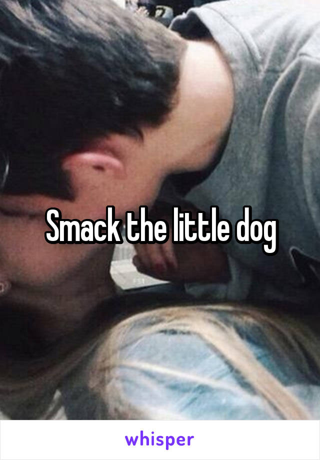 Smack the little dog