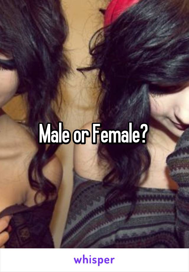 Male or Female? 