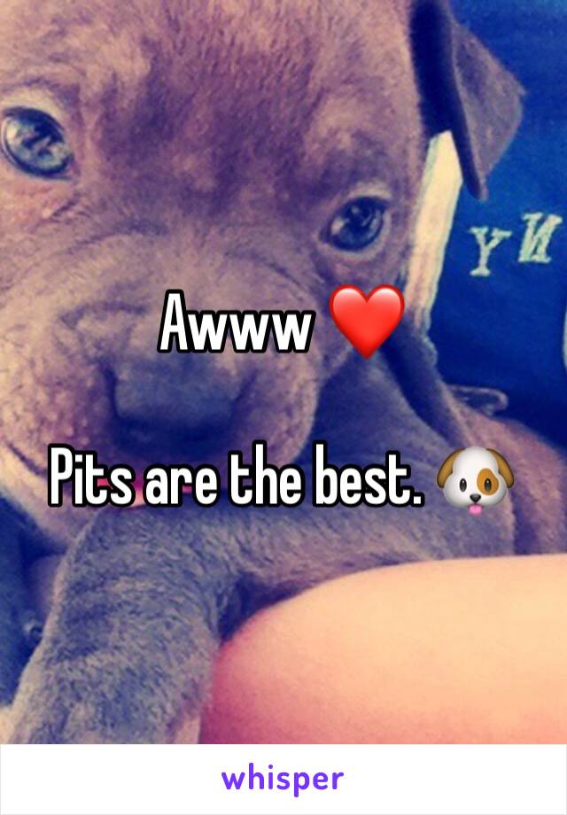 Awww ❤️

Pits are the best. 🐶