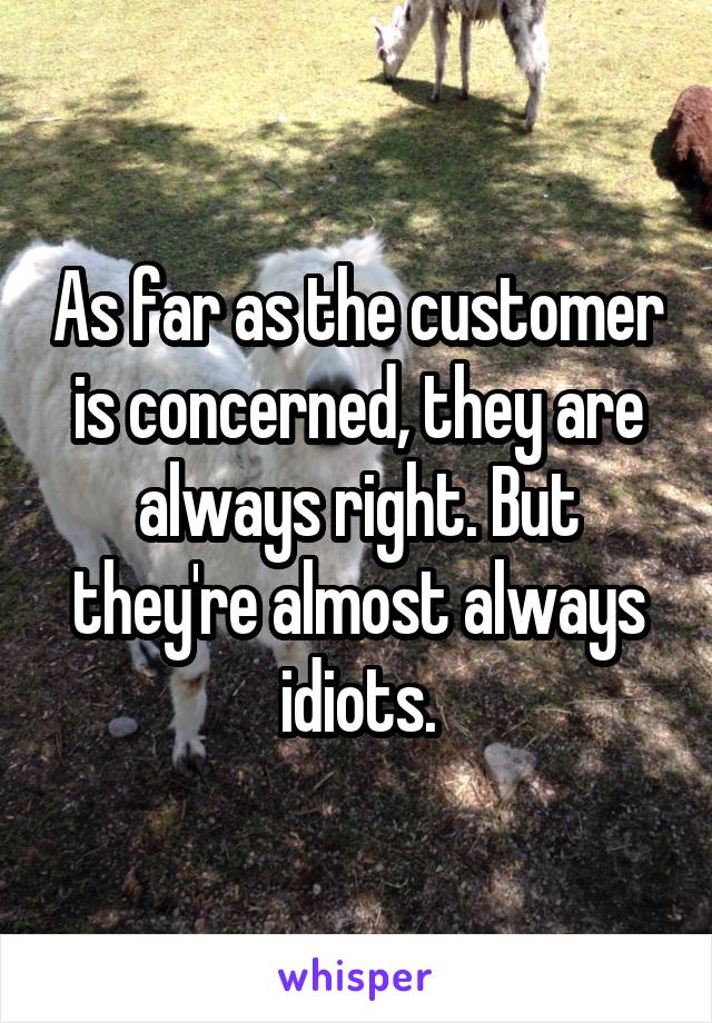 As far as the customer is concerned, they are always right. But they're almost always idiots.