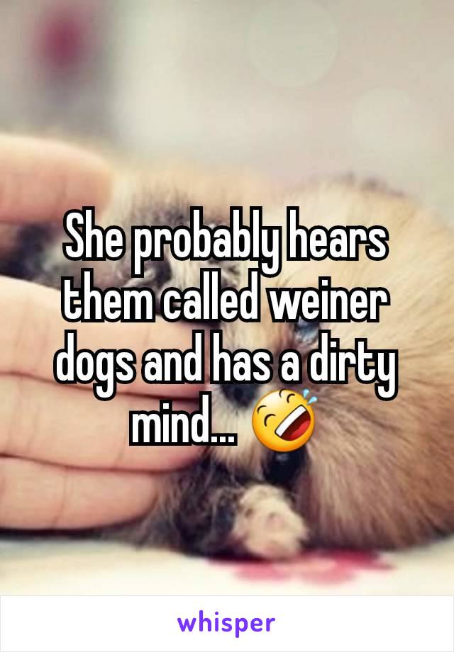 She probably hears them called weiner dogs and has a dirty mind... 🤣