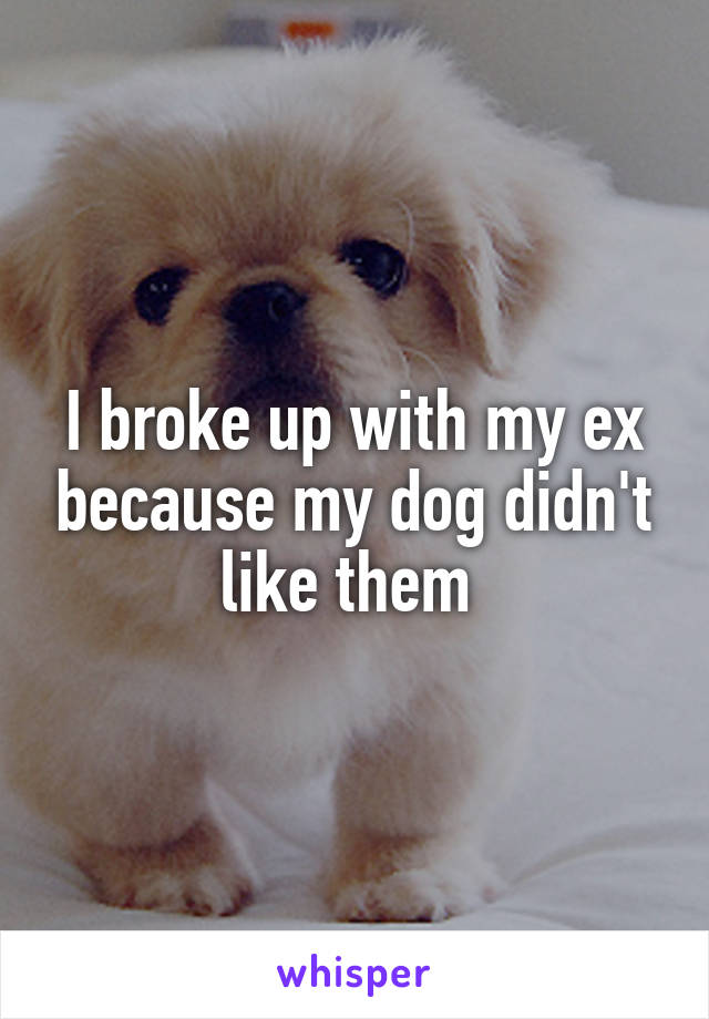 I broke up with my ex because my dog didn't like them 