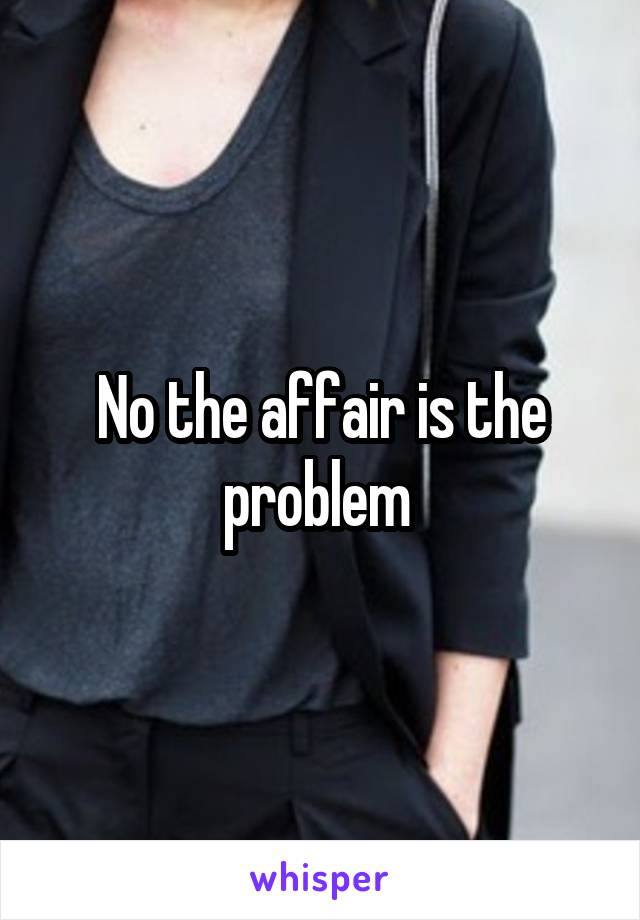 No the affair is the problem 