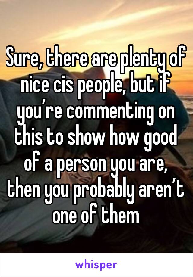 Sure, there are plenty of nice cis people, but if you’re commenting on this to show how good of a person you are, then you probably aren’t one of them