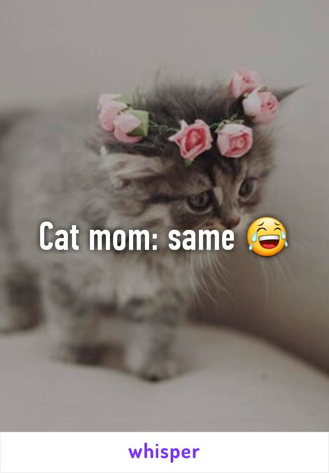 Cat mom: same 😂