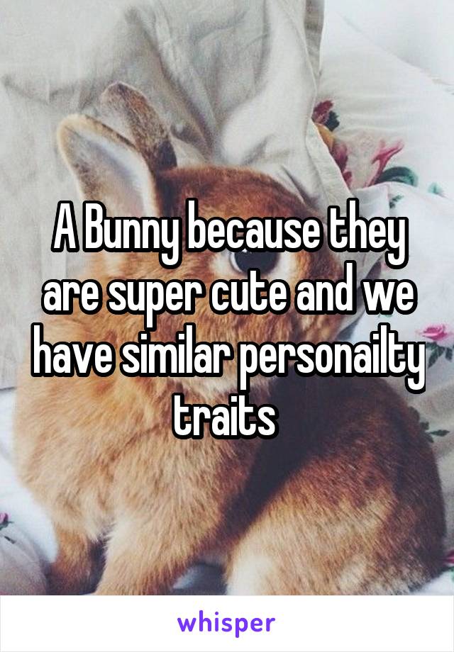 A Bunny because they are super cute and we have similar personailty traits 