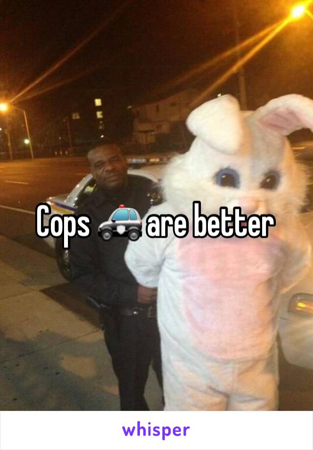 Cops 🚓 are better 