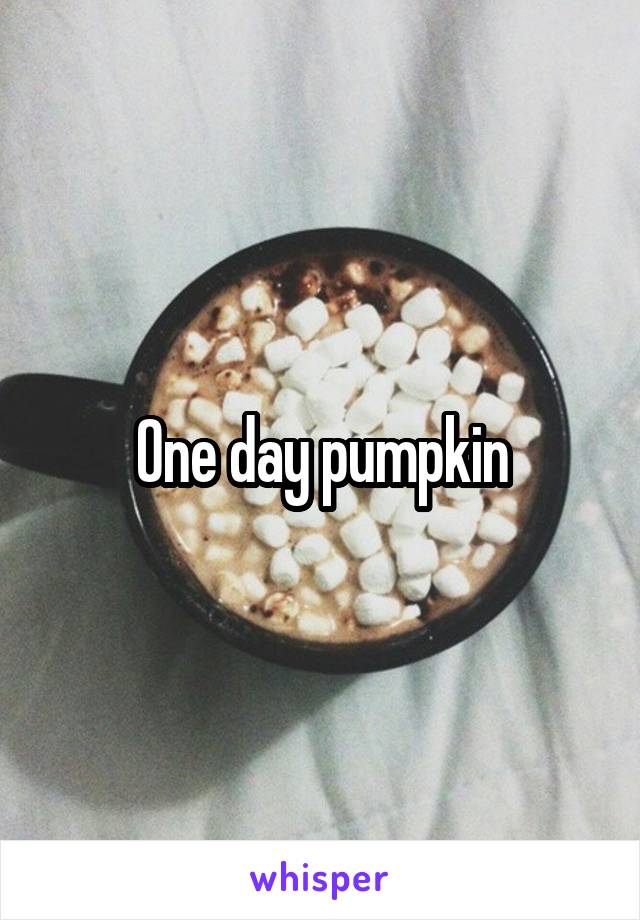 One day pumpkin