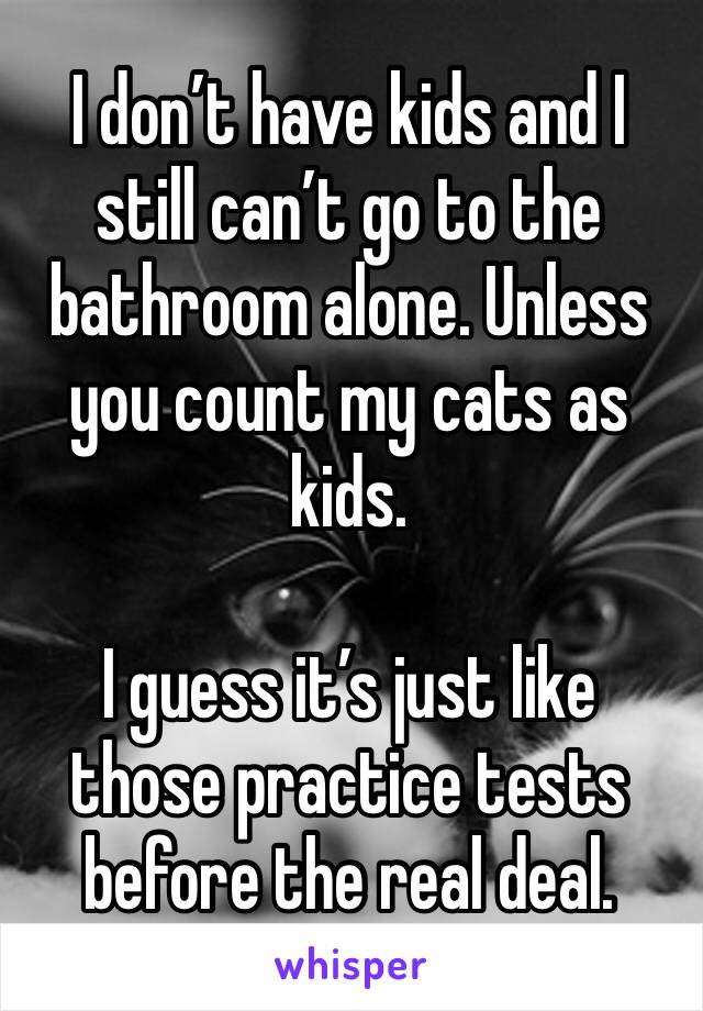 I don’t have kids and I still can’t go to the bathroom alone. Unless you count my cats as kids. 

I guess it’s just like those practice tests before the real deal. 
