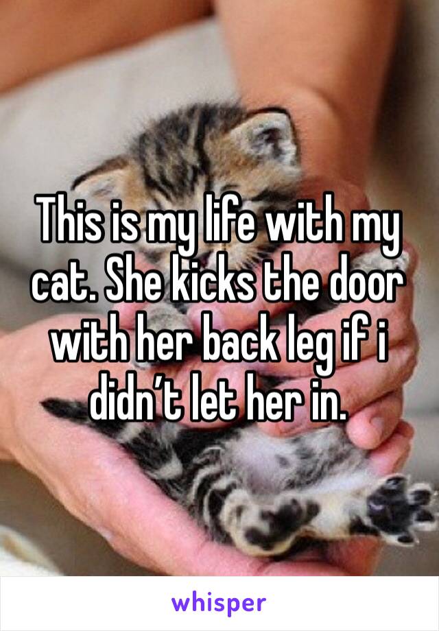 This is my life with my cat. She kicks the door with her back leg if i didn’t let her in.