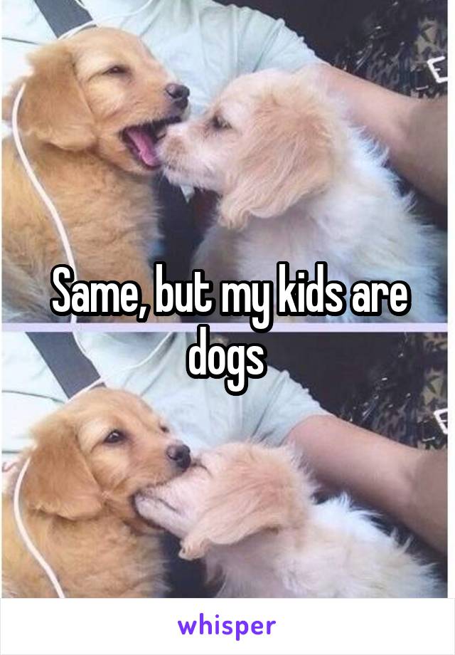 Same, but my kids are dogs 
