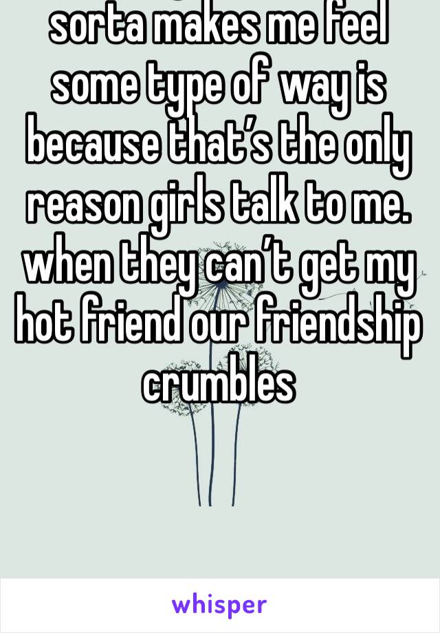 The only reason this sorta makes me feel some type of way is because that’s the only reason girls talk to me. when they can’t get my hot friend our friendship crumbles 