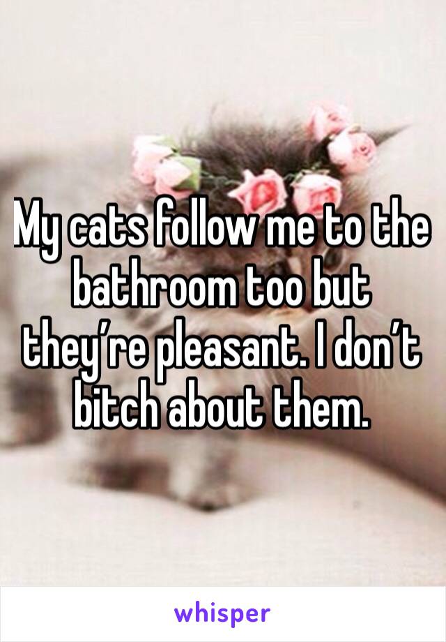 My cats follow me to the bathroom too but they’re pleasant. I don’t bitch about them. 