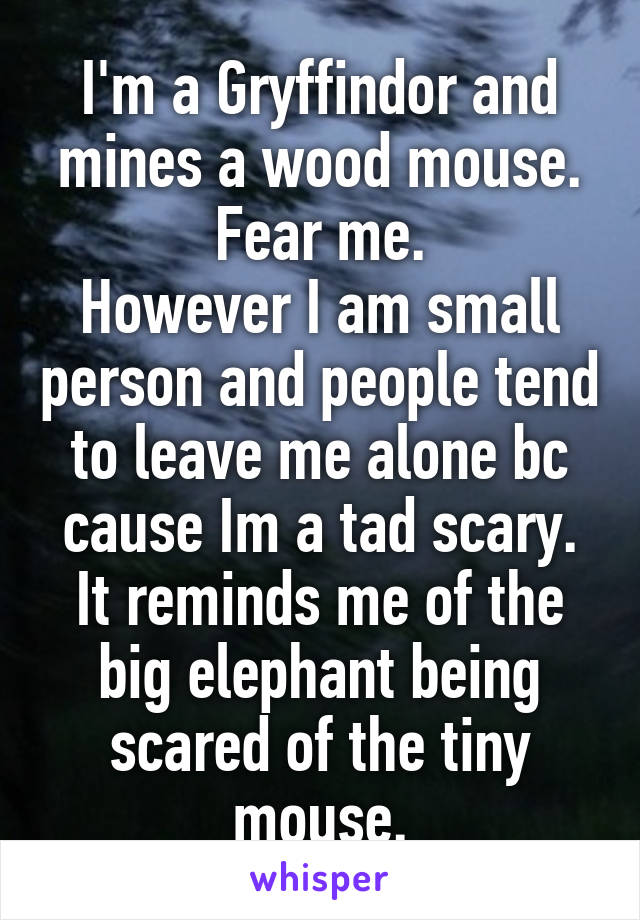 I'm a Gryffindor and mines a wood mouse.
Fear me.
However I am small person and people tend to leave me alone bc cause Im a tad scary. It reminds me of the big elephant being scared of the tiny mouse.
