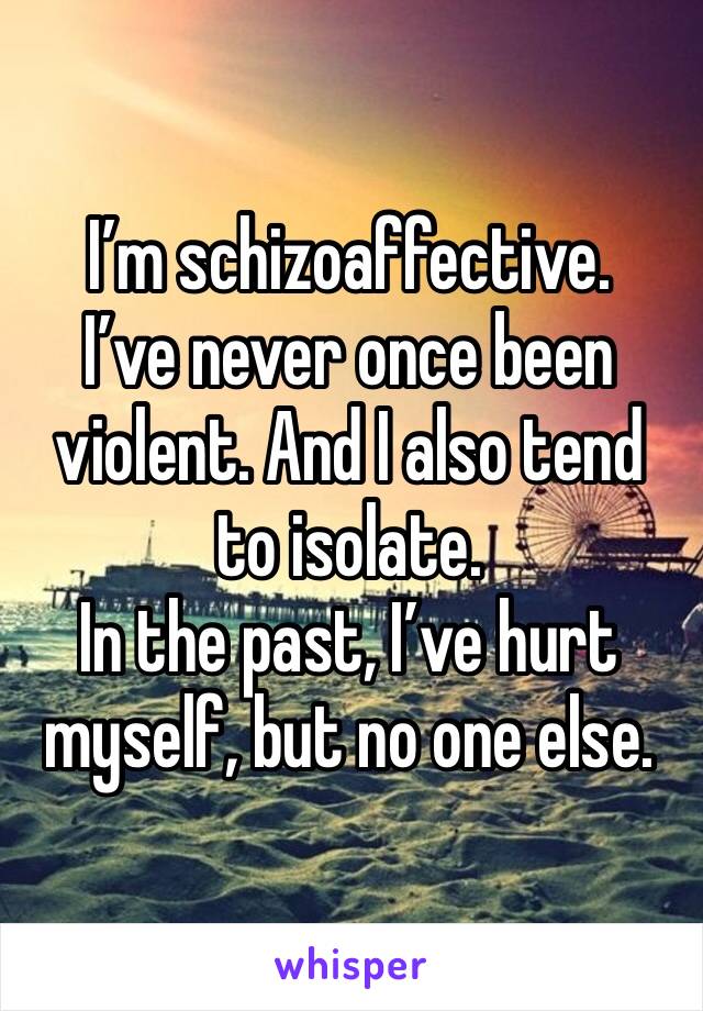 I’m schizoaffective. 
I’ve never once been violent. And I also tend to isolate. 
In the past, I’ve hurt myself, but no one else. 