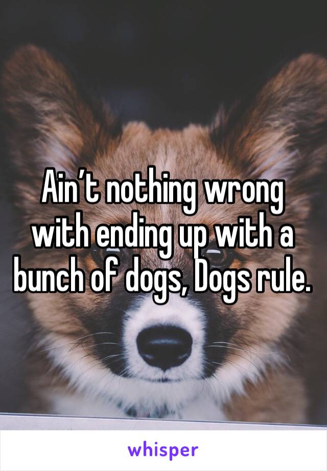 Ain’t nothing wrong with ending up with a bunch of dogs, Dogs rule.