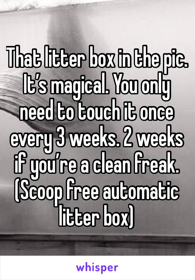 That litter box in the pic. It’s magical. You only need to touch it once every 3 weeks. 2 weeks if you’re a clean freak. (Scoop free automatic litter box)