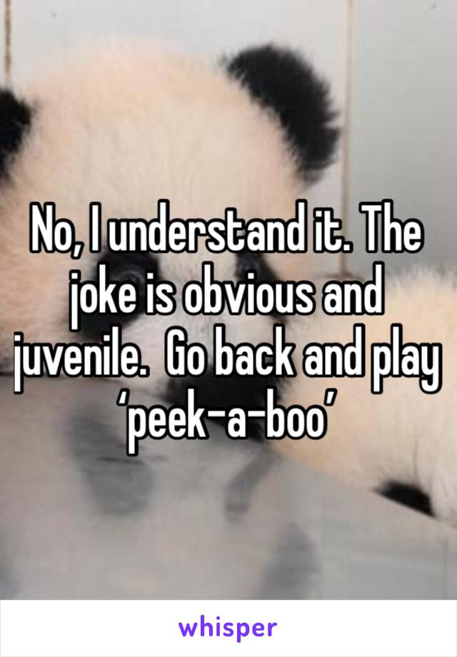 No, I understand it. The joke is obvious and juvenile.  Go back and play ‘peek-a-boo’