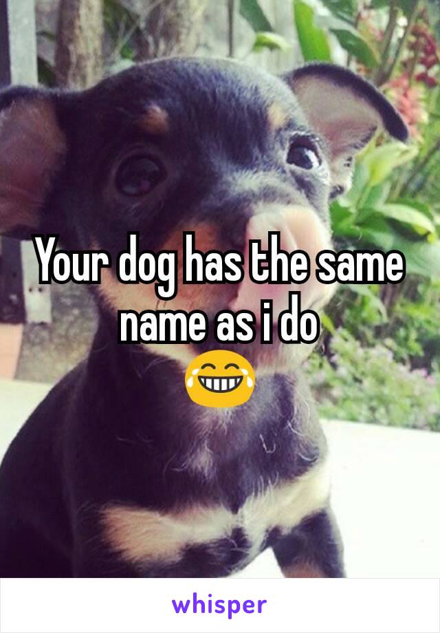 Your dog has the same name as i do
😂