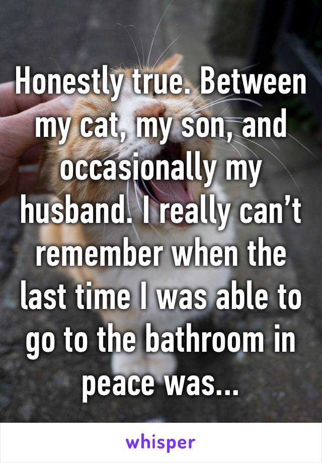 Honestly true. Between my cat, my son, and occasionally my husband. I really can’t remember when the last time I was able to go to the bathroom in peace was...