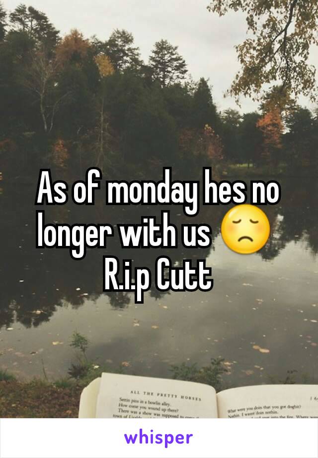 As of monday hes no longer with us 😞 
R.i.p Cutt