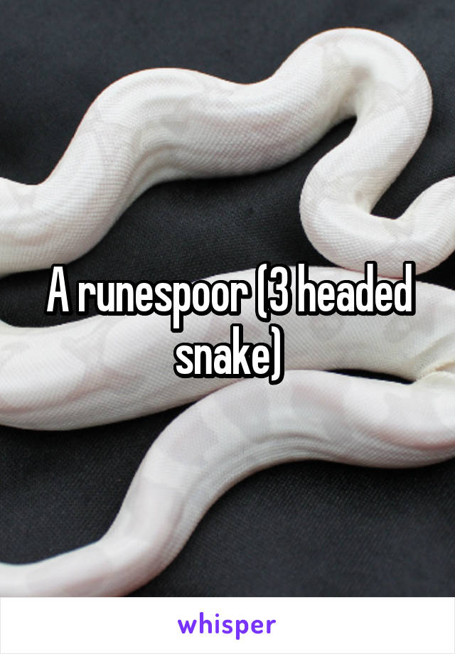 A runespoor (3 headed snake)