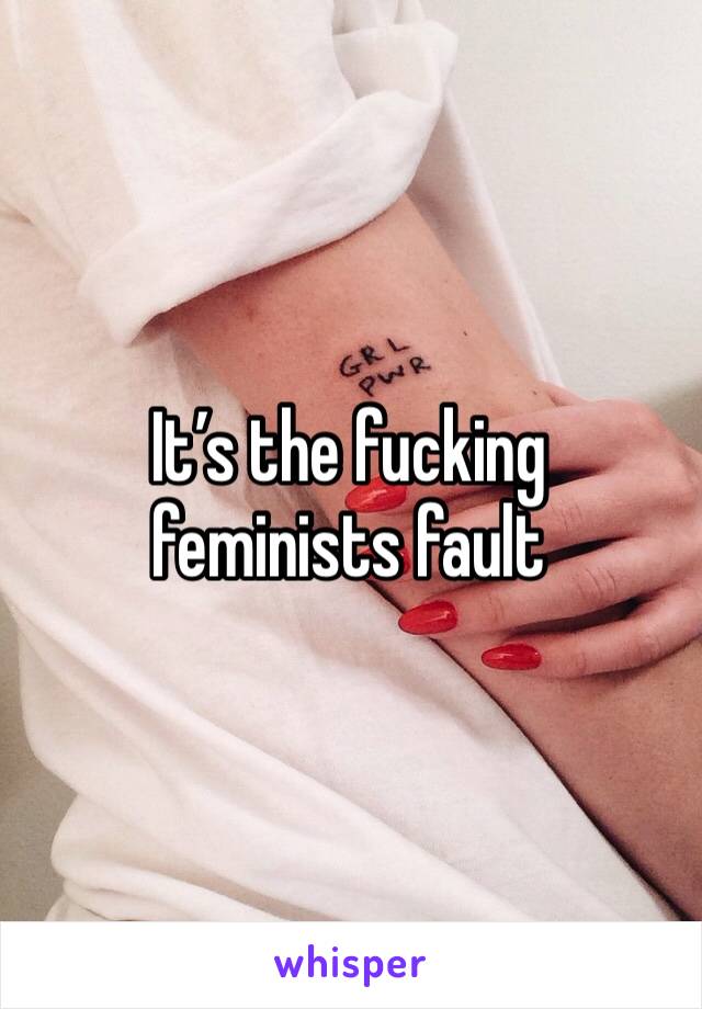 It’s the fucking feminists fault