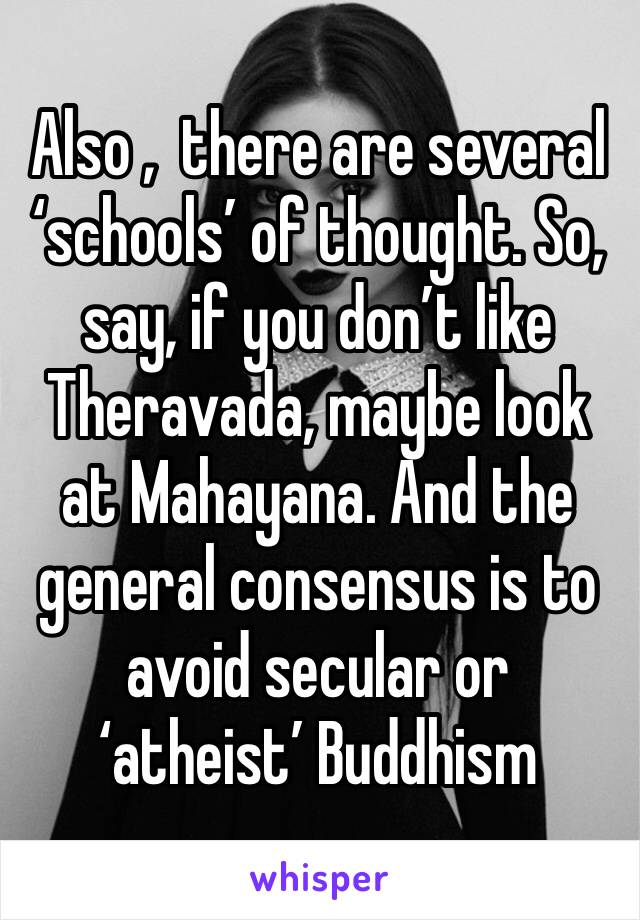 Also ,  there are several ‘schools’ of thought. So, say, if you don’t like Theravada, maybe look at Mahayana. And the general consensus is to avoid secular or ‘atheist’ Buddhism