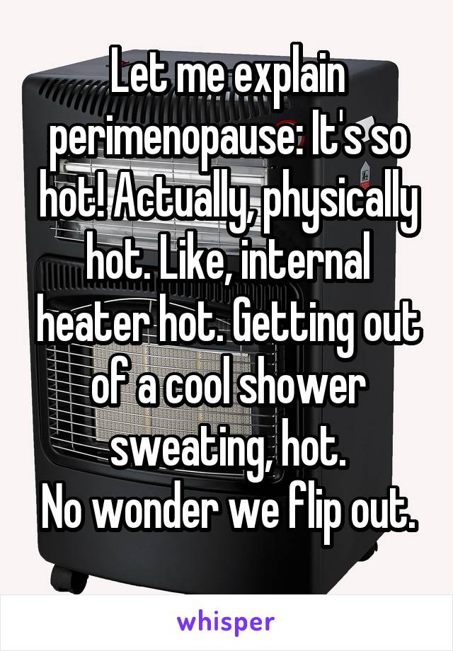 Let me explain perimenopause: It's so hot! Actually, physically hot. Like, internal heater hot. Getting out of a cool shower sweating, hot.
No wonder we flip out. 