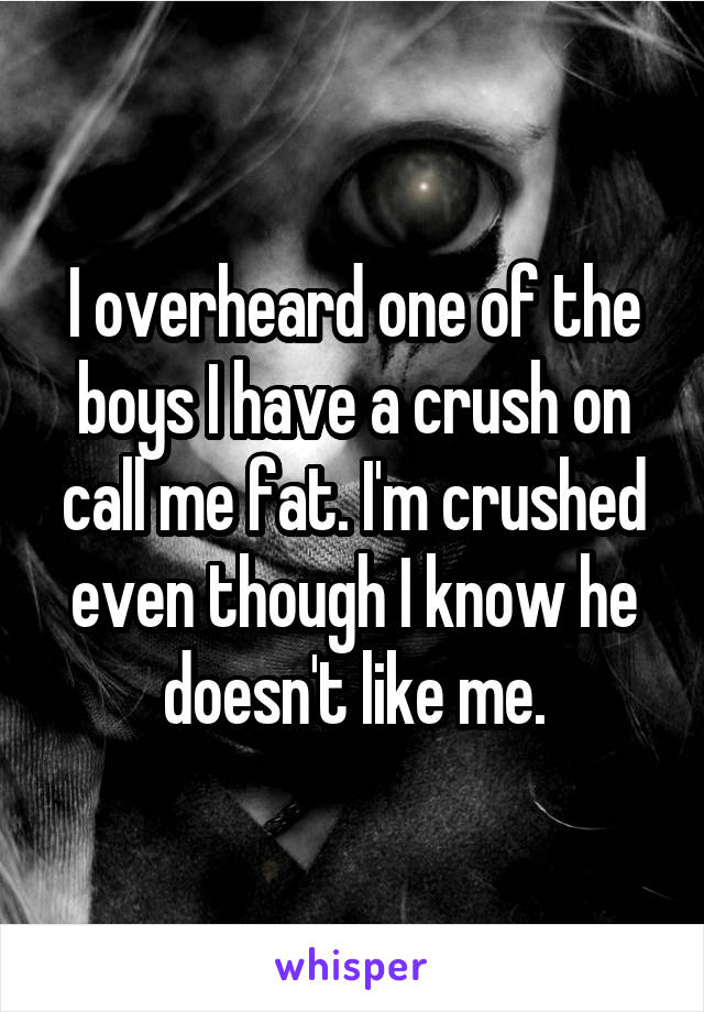I overheard one of the boys I have a crush on call me fat. I'm crushed even though I know he doesn't like me.