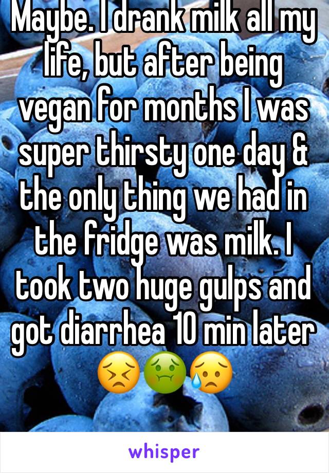 Maybe. I drank milk all my life, but after being vegan for months I was super thirsty one day & the only thing we had in the fridge was milk. I took two huge gulps and got diarrhea 10 min later 😣🤢😥