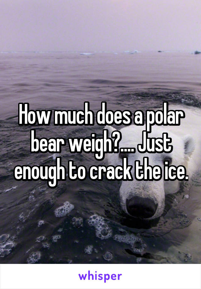 How much does a polar bear weigh?.... Just enough to crack the ice.