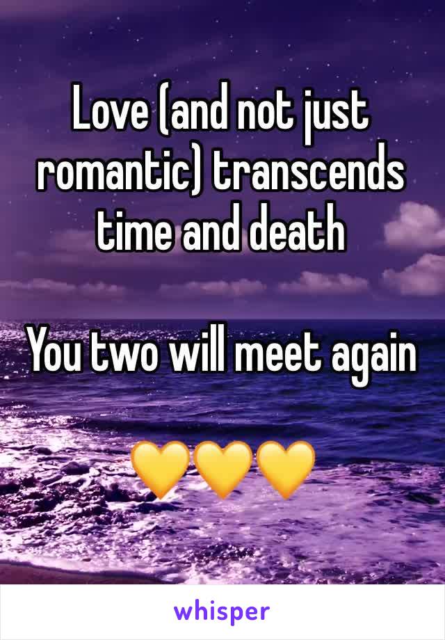 Love (and not just romantic) transcends time and death

You two will meet again

💛💛💛