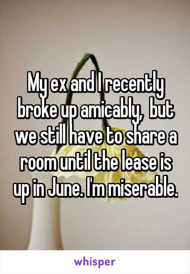 My ex and I recently broke up amicably,  but we still have to share a room until the lease is up in June. I'm miserable.