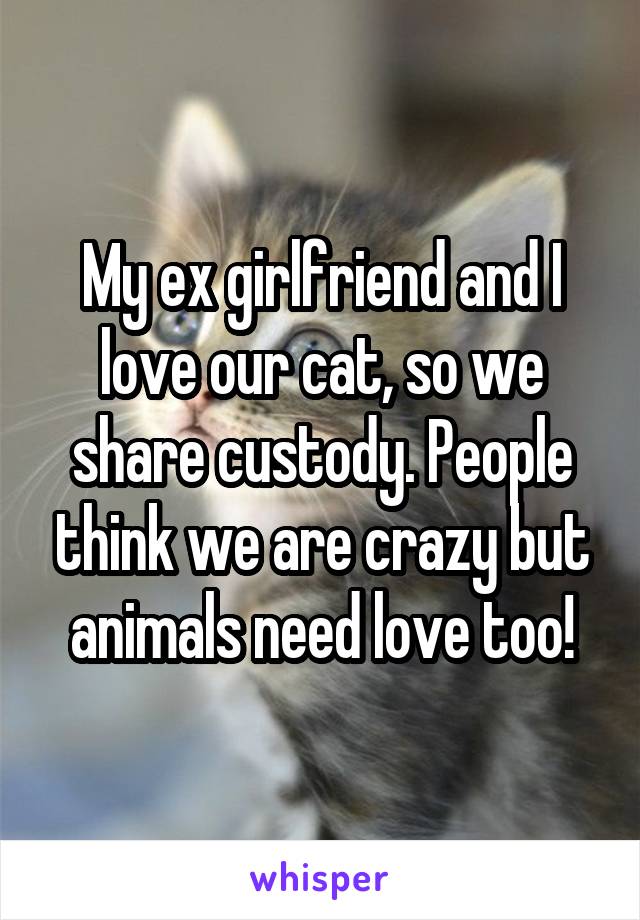 My ex girlfriend and I love our cat, so we share custody. People think we are crazy but animals need love too!