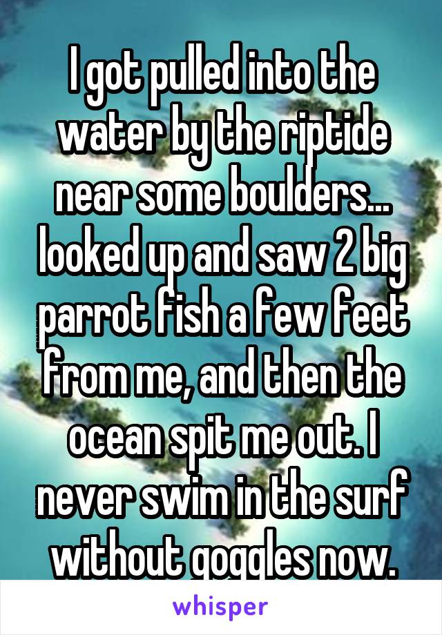 I got pulled into the water by the riptide near some boulders... looked up and saw 2 big parrot fish a few feet from me, and then the ocean spit me out. I never swim in the surf without goggles now.