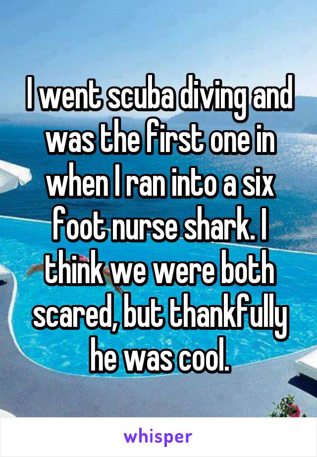 I went scuba diving and was the first one in when I ran into a six foot nurse shark. I think we were both scared, but thankfully he was cool.