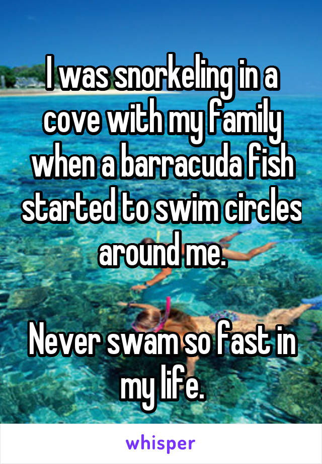 I was snorkeling in a cove with my family when a barracuda fish started to swim circles around me.

Never swam so fast in my life.
