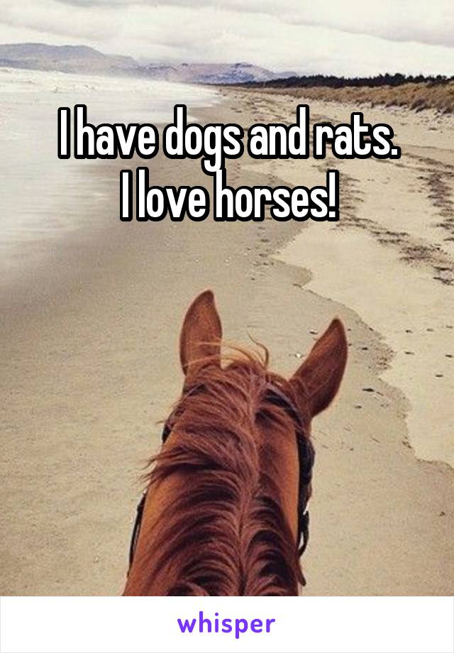 I have dogs and rats.
I love horses!




