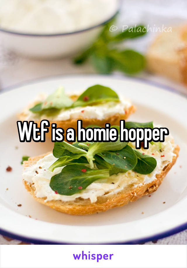 Wtf is a homie hopper 