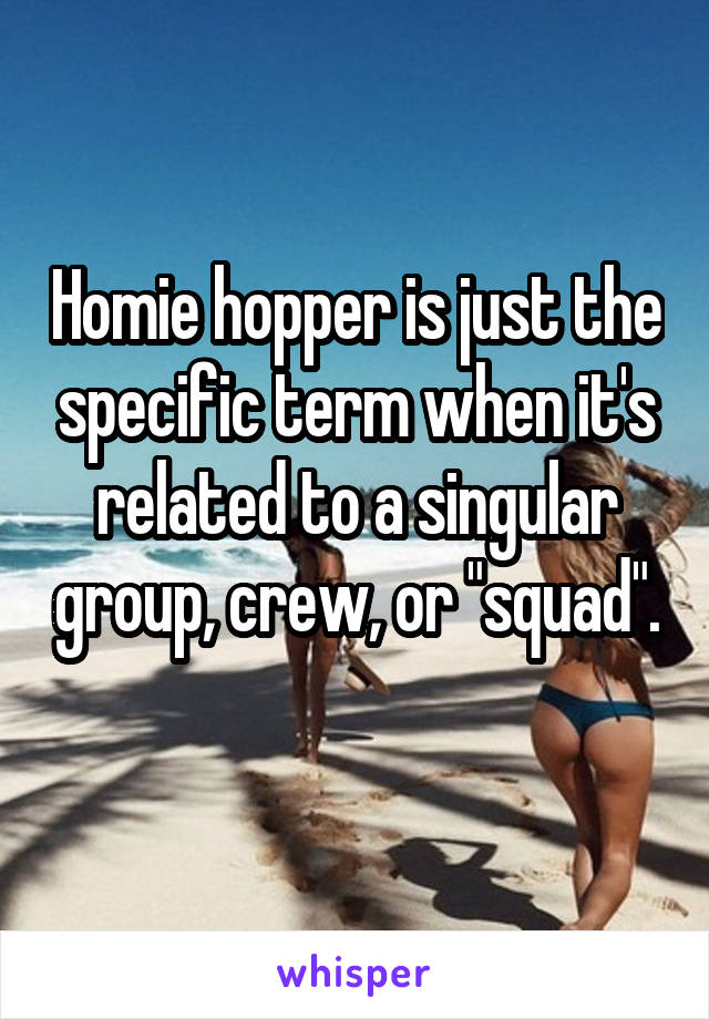 Homie hopper is just the specific term when it's related to a singular group, crew, or "squad". 