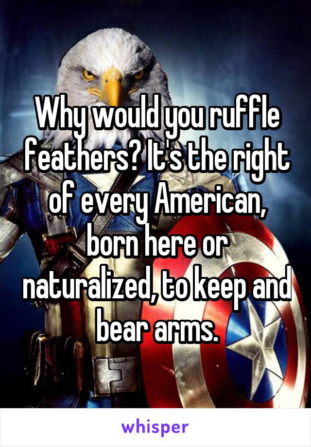 Why would you ruffle feathers? It's the right of every American, born here or naturalized, to keep and bear arms.