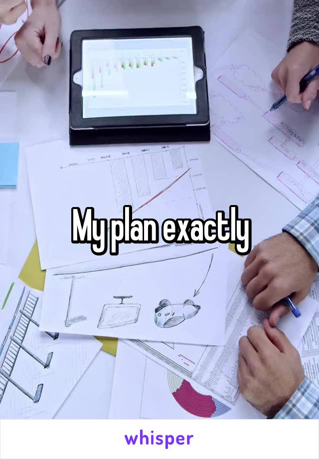 My plan exactly