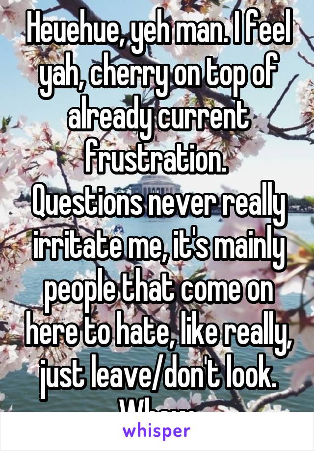 Heuehue, yeh man. I feel yah, cherry on top of already current frustration. 
Questions never really irritate me, it's mainly people that come on here to hate, like really, just leave/don't look. Whew.