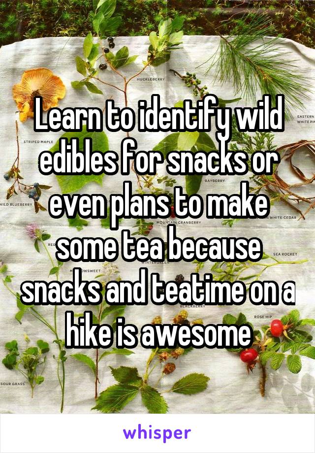 Learn to identify wild edibles for snacks or even plans to make some tea because snacks and teatime on a hike is awesome