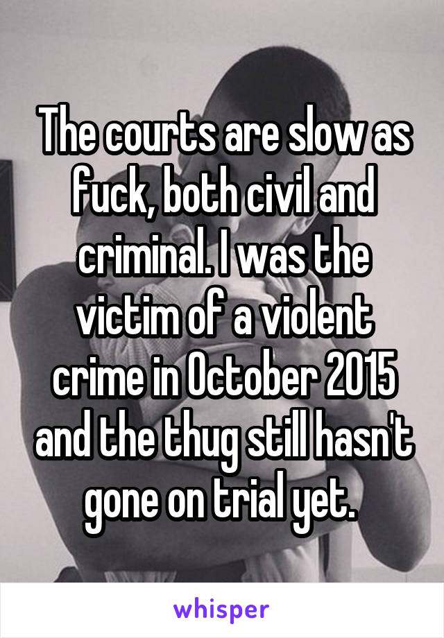 The courts are slow as fuck, both civil and criminal. I was the victim of a violent crime in October 2015 and the thug still hasn't gone on trial yet. 
