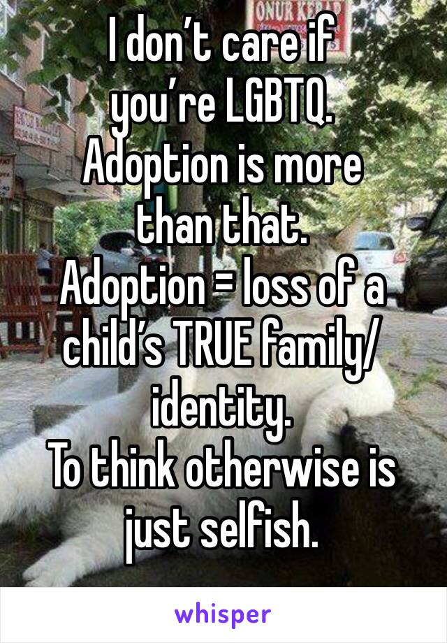 I don’t care if you’re LGBTQ. 
Adoption is more than that. 
Adoption = loss of a child’s TRUE family/identity. 
To think otherwise is just selfish. 

