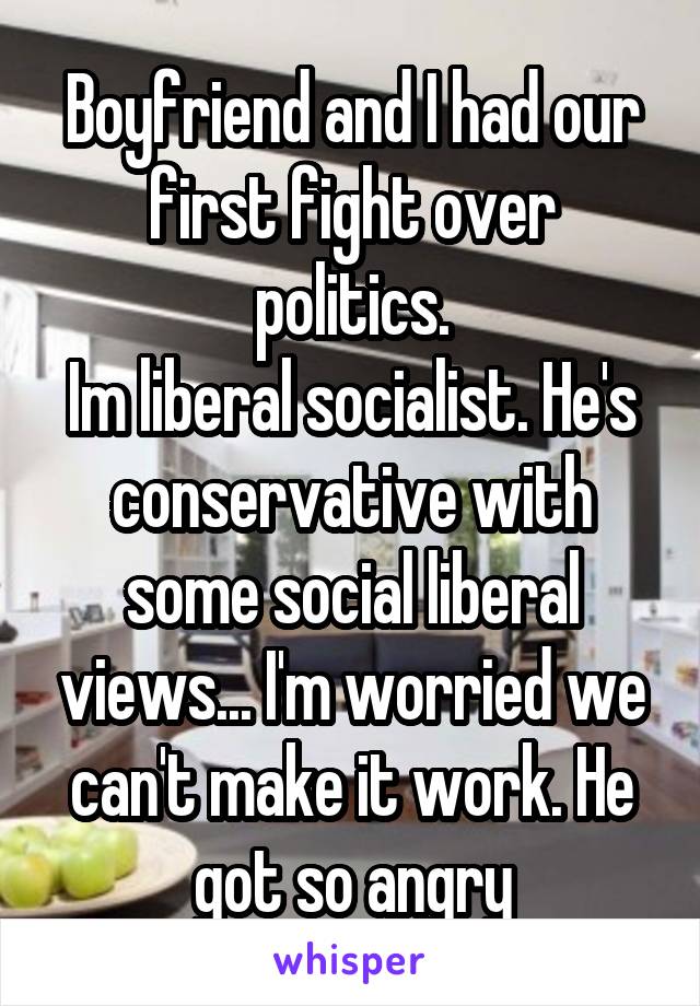 Boyfriend and I had our first fight over politics.
Im liberal socialist. He's conservative with some social liberal views... I'm worried we can't make it work. He got so angry