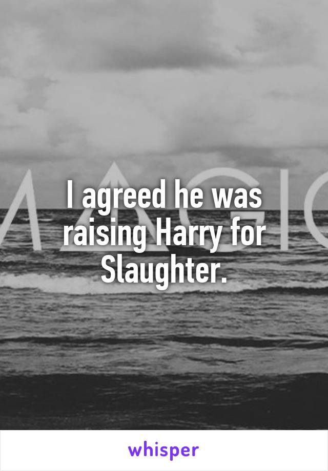 I agreed he was raising Harry for Slaughter.